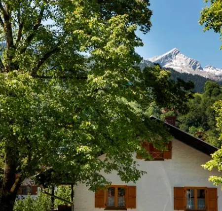 Apartamento Alpennest *